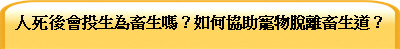 人死後會投生為畜生嗎？如何協助寵物脫離畜生道？